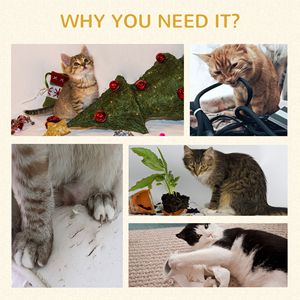 Indoor <b>Cat</b> <b>Tree</b> with Double Layer House XL Size <b>Scratching</b> Posts and <b>Cat</b> Climbing Scratch Boards Natural Material - Product Image 4
