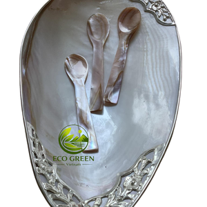 Bandeja de tocador de lujo hecha a mano con concha de nácar, organizador de joyas de concha de ostra natural para baño, dormitorio y decoración del hogar - Product Image 4