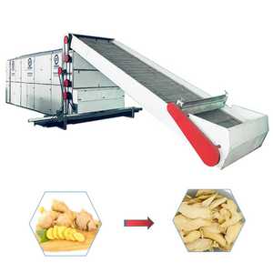 Séchoir à bande en maille de légumes fruits en continu Machine de séchage des aliments Séchoir à piment rouge Séchoir à maille de gingembre - Product Image 1