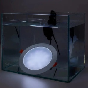 Lumière LED qui survit à la vapeur et au sel - Product Image 3