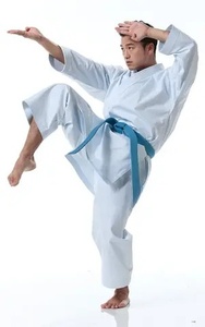 Uniforme de karaté personnalisé avec logo, 100 % coton, uniforme d'arts martiaux, vêtements de sport, uniforme de karaté pour enfants et adultes, uniformes légers - Product Image 2
