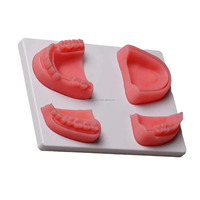 Modèle d'entraînement professionnel en silicone de haute qualité pour la suture dentaire, coussin de pratique réutilisable pour étudiants et dentistes, personnalisable