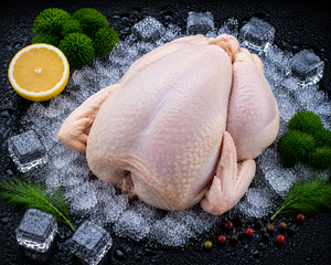 ไก่ทั้งตัวแช่แข็ง IQF บรรจุภัณฑ์สุญญากาศ เกรดพรีเมียม อายุการเก็บรักษา 24 เดือน คุณภาพเยี่ยม จัดส่งรวดเร็ว - Product Image 1
