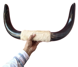 Cornes de peau de boeuf montées Corne de boeuf faite Décoration murale montée en buffle Accessoires de décoration intérieure de luxe Corne de boeuf Décoration murale montée - Product Image 2