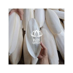 HOT SELLING BLUE LOTUS Cuttlefish Bone Dried Clean Calcium Vitamin E Fast Absorption Safe Immune Support Horse Chickens - Product Image 1