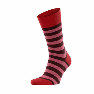 Premium Crew <b>Socks</b> Soft Comfortable Stretch <b>Socks</b> for Daily Casual Wear WOOL/COTTON MATERIAL UNISEX - Product Image 3