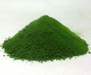 Barley Juice Powder Organic Grade Raw Material Halal - Product Image 2