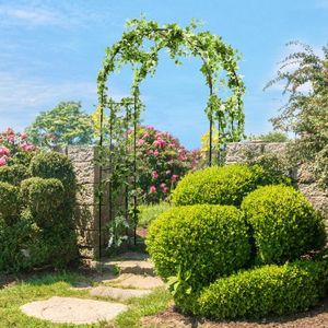 Supporto per Piante da Patio con Arco da Giardino, Traliccio e Recinzione per Decorazioni Esterne - Product Image 1