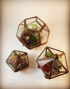 Terrarium en verre géométrique avec cadre doré, design moderne, récipient pour plantes d'intérieur - Product Image 4