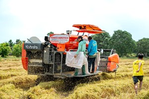 Moissonneuse-batteuse DC 108X pour riziculture, modèle standard thaïlandais, haute efficacité, à 2 rangs, pour riz paddy - Product Image 3