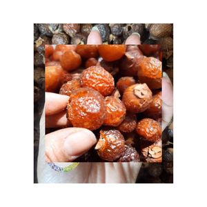 Nueces de Jabón Naturales Secas de Vietnam, Mejor Precio, Bayas de Jabón/Washenut de Vietnam para Lavandería y Uso como Detergente - Product Image 6