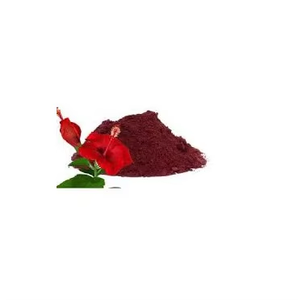 Approvisionnement direct d'usine 100% poudre d'hibiscus pure poudre de saveur d'hibiscus la plus vendue acheter auprès d'un fournisseur indien - Product Image 6