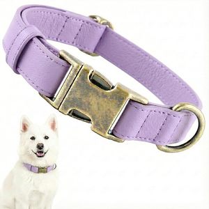Teal Leather Dog <b>Collar</b> Adjustable Buckle Closure Classic Style Medium Breed All Seasons Pet <b>Collars</b> - Product Image 2