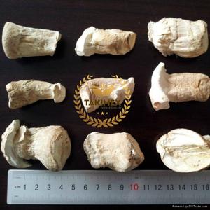 Seta Shitake seca a granel Chips Seta Stipe Pies 3-4cm Seta Shiitake seca en stock ahora - Product Image 4