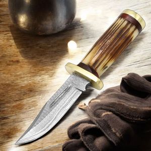 Cuchillos de Caza y Camping para Exteriores con Hoja Afilada, Mango Ergonómico de Madera y Funda Protectora de Cuero para Senderismo - Product Image 6