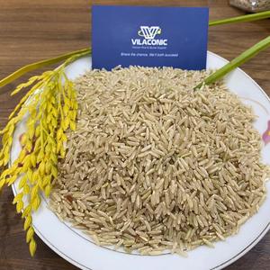Riz brun biologique-Texture dure séchée à grain long certifié ISO de qualité supérieure du fournisseur en vrac du Vietnam au meilleur prix - Product Image 2