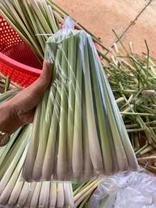 Herbe de citronnelle congelée de qualité supérieure, coupée en tiges, naturelle, aromatique, de qualité alimentaire, en vrac - Product Image 5