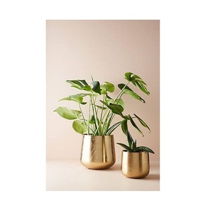 Nouveaux pots à plantes en métal doré, style moderne, faits à la main, élégants, en stock au prix de gros - Product Image 1