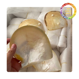 จานเปลือกหอยมุกขัดเงา งานแฮนด์เมด สำหรับตกแต่งบ้านและเป็นของขวัญ - Product Image 6