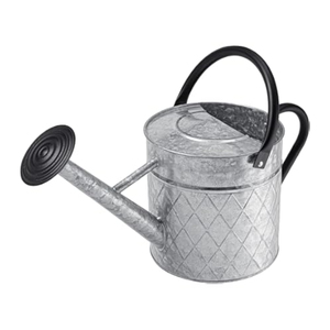 Arrosoir en métal de haute qualité, finition galvanisée, avec bec amovible et poignées, outil de jardinage écologique - Product Image 1