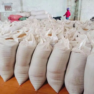 Noix de cajou vietnamiennes crues délicieuses et nutritives, produit agricole naturel pour l'exportation en gros - Product Image 1