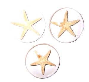 Cabujón de plástico con espécimen real de estrella de mar, redondo, 35x35 mm, base plana transparente para manualidades y fabricación de joyas - Product Image 3