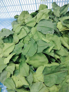 Hojas de Limón Kaffir Secas de Alta Calidad, Hierba Seca Natural para Cocinar, Sazonar Comida Tailandesa y Culinaria Asiática, Venta al por Mayor - Product Image 2