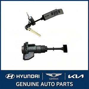 Llaves, Controles y Controles Remotos Nuevos para Elantra 819053X840 - Product Image 4