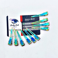 Kits d'extension de cheveux de haute qualité Lucky Lash Tools personnalisés multi-plasma, pinces en acier inoxydable de qualité chirurgicale pour usage commercial