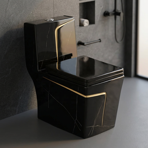 WC monobloc en céramique de qualité supérieure, à poser au sol, avec système de chasse siphonique, pour une infrastructure de salle de bain contemporaine - Product Image 1