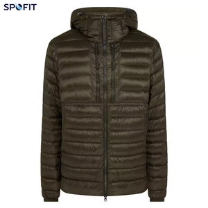 Veste matelassée à capuche pour homme, rembourrage en duvet, fermeture éclair, vêtements d'extérieur décontractés pour l'hiver, coupe classique, couleur unie - Product Image 1