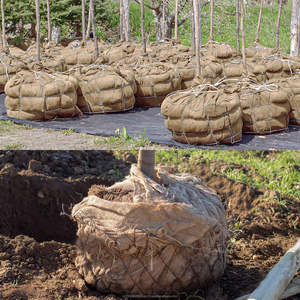 Tela Geotextil de Yute 100% Ecológica, Duradera, Biodegradable, de Grado Alimenticio, 280 GSM, Ancho de 45 Pulgadas x 15 Pies, 9 oz, Tela de Arpillera - Product Image 2