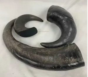 Jouet à mâcher pour chien en corne de buffle naturelle de qualité supérieure, durable, sain pour les dents, pour les chiens agressifs, entraînement et soins bucco-dentaires - Product Image 3