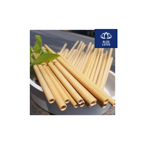 Pailles en bambou écologiques, sûres et propres, best-seller, 100% végétales, idéales pour servir des boissons et déguster des cocktails, prix direct. - Product Image 1
