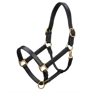 Durable Strong Black <b>Brown</b> <b>Tan</b> Genuine Leather Horse Halter in all custom Sizes and Colors with Solid Brass Fittings - Product Image 1
