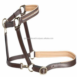 Halter de caballo de cuero genuino marrón de doble costura con relleno Beige de lujo de alta calidad con cadena ostentosa de diseñador y herrajes de latón - Product Image 2