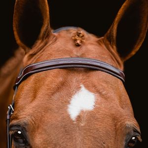 Brida de cuero Cavesson English Hunter para equitación con riendas para caballos - Product Image 3