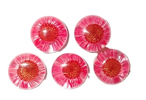 ดอกเดซี่คาโบชองแบบกลม ขนาด 19x19 มม. บนฐานสีขาว สำหรับงานฝีมือและทำเครื่องประดับ - Product Image 5