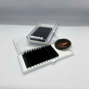 Extensiones de Pestañas de Marca Privada, Fans de Pestañas Pre-fabricados 10D, 0.05mm, Curva CC, Hechos a Mano, Bandejas de Pestañas de Alta Calidad, Negro Mate - Product Image 2