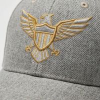 Casquettes de baseball gris clair avec aigle doré, sport, décontractées, imperméables, anti-transpiration, réglables, niveau professionnel, pour homme adulte, 100% coton, look A1