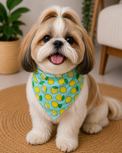 Premium Quality <b>Dog</b> Pet Bandana Scarf Soft Comfortable Breathable Fabric Stylish Neckwear Accessory For Everyday Pet Wear - Product Image 2