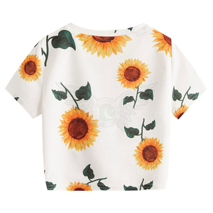 T-shirt court à col en V en soie/coton de haute qualité pour femme, style unique, le plus vendu en 2026, service OEM - Product Image 2