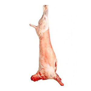 CARCASA DE CORDERO OVEJERO FRESCA CONGELADA IQF HALAL Lista para Exportación - Product Image 5
