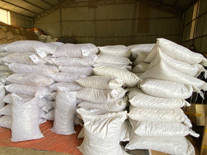 ขิงแห้งหั่นเป็นชิ้น ขิงธรรมชาติอบแห้ง ขิงฝอยสำหรับปรุงรส - Product Image 6