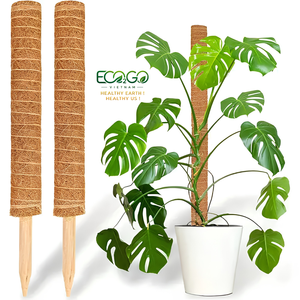 Soporte para Plantas de Fibra de Coco y Musgo, Hecho a Mano, Moderno, con Tamaños Personalizables, por ECO2GO VIETNAM - Product Image 1