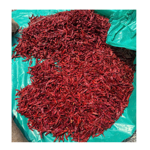 Chiles rojos secos al por mayor para ingredientes de comida asiática y aplicaciones de condimentación - Product Image 5