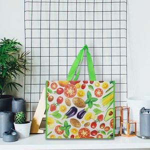 Eco-Friendly Large Capacity Reusable PP Woven Storage Tote Bag with Shoulder <b>Strap</b> Custom Logo & Customizable Design - Product Image 1