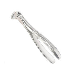 High Quality CE Certified Manual Stainless Steel Dental Extracting Forceps English Pattern Surgical <b>Instruments</b> By Grip Surgical - Product Image 3