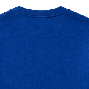 Sweat-shirt Zeta Phi Beta Chenille VOTE bleu pour femme, col rond brodé de lettres grecques, haut décontracté de qualité supérieure - Product Image 5