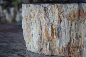 Lavabo de Madera Antigua - Product Image 4